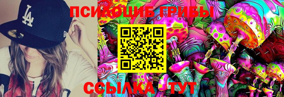 Псилоцибиновые грибы Psilocybine cubensis Луховицы