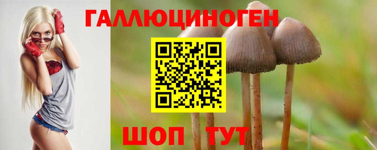Псилоцибиновые грибы мухоморы  Вход с VPN  Галлюциногенные грибы ЛСД  даркнет сайт  Луховицы 